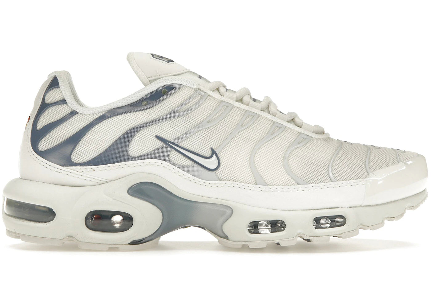 Nike Air Max Plus Ashen Slate
